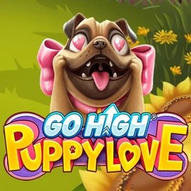 Play Go High Puppy Love slot by RubyPlay on foxygoldonline.com